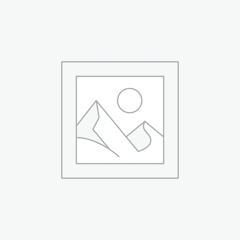 Elegant Bird Panel DXF Design
